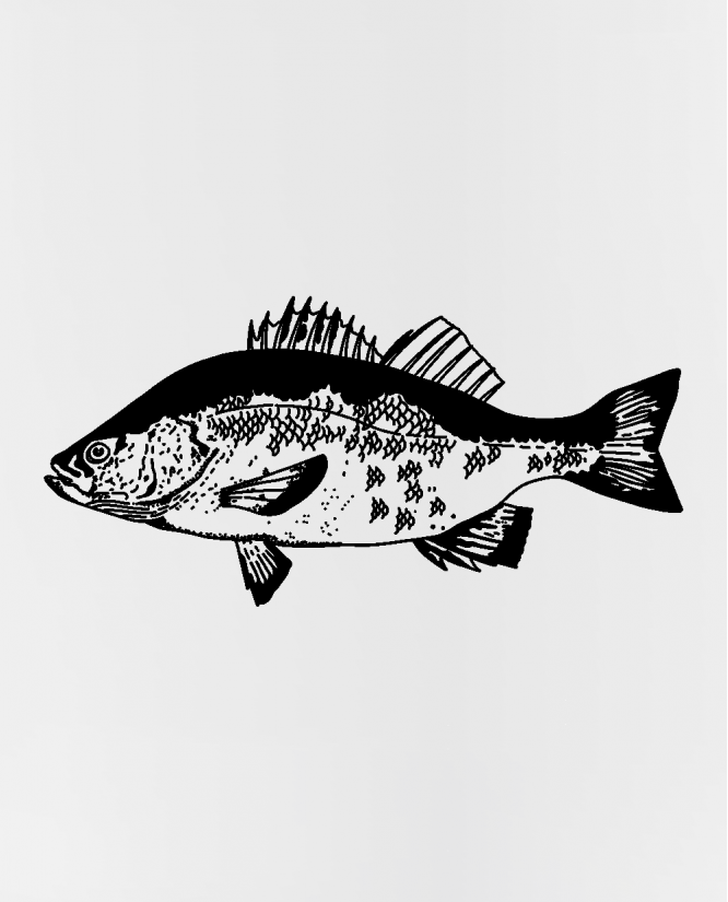 puodelis Fish
